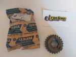 Getriebe Zahnrad 5 wheel gear passt an Yamaha Mx Yz 100 125 175 537-17251-01