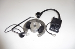Zndung Stator Rotor Zndanlage Zndspule ignition passt an Ktm Sx 50 02-06