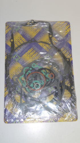 Motordichtsatz Motordichtungssatz Set gasket kit Centauro Kawasaki Kx 250 01-02