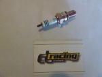 Ngk DR-9 EVX Zndkerze spark plug passt an Yamaha Fzr 750 passt an Suzuki Gsx