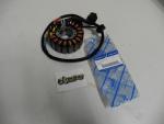 Lichtmaschine nur EinspritzerZ�ndung passt an Triton Baja Black Lizard 400 2011
